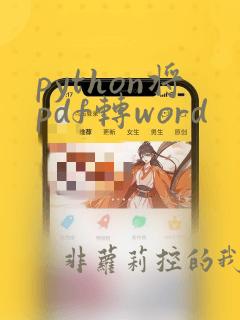 python将pdf转word