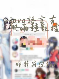java语言有哪两种数据类型