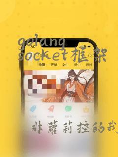 golang socket框架