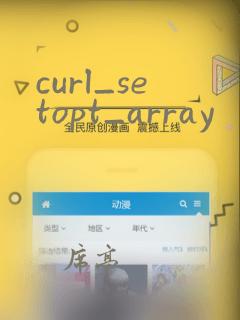 curl_setopt_array