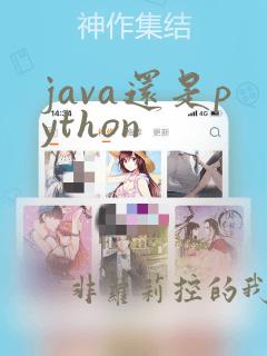 java还是python