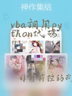 vba调用python代码