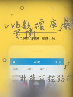 vb数据库操作实例