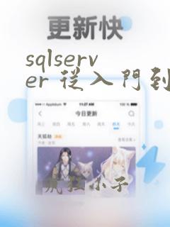 sqlserver 从入门到精通