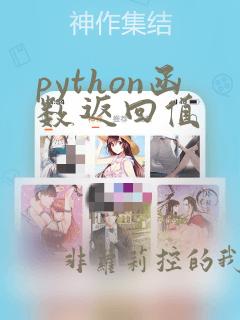 python函数返回值