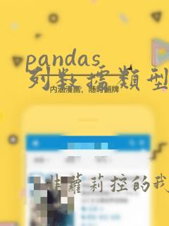 pandas 列数据类型转换