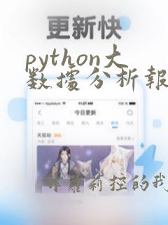 python大数据分析报告