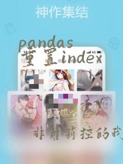 pandas 重置index