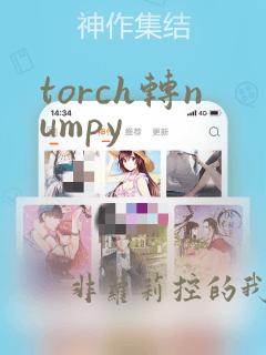 torch转numpy