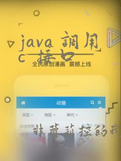 java 调用c 接口