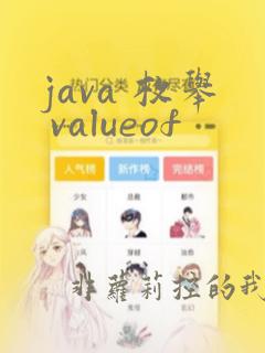 java 枚举 valueof