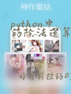 python中的除法运算符