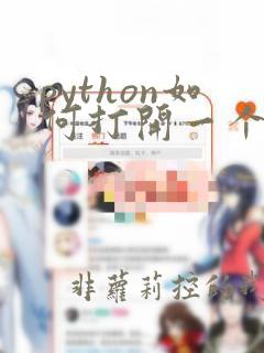 python如何打开一个文件