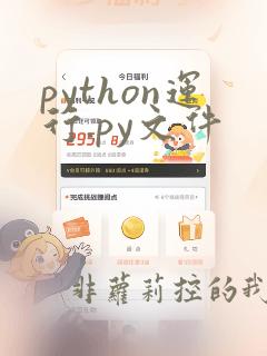 python运行.py文件