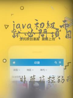 java初级面试必问项目技术