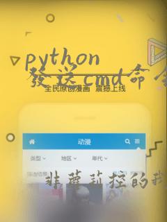 python 发送cmd命令