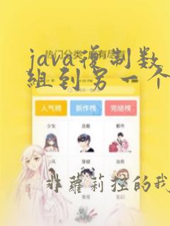 java复制数组到另一个数组