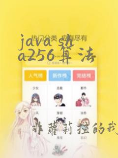 java sha256算法