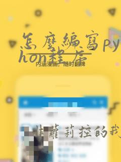 怎么编写python程序