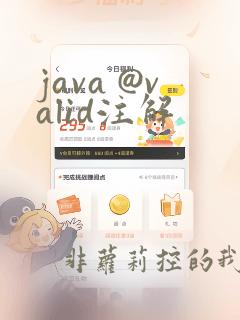 java @valid注解