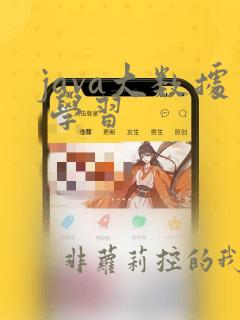 java大数据 学习