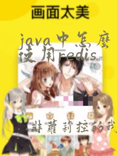 java中怎么使用redis