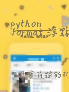python format 浮点数