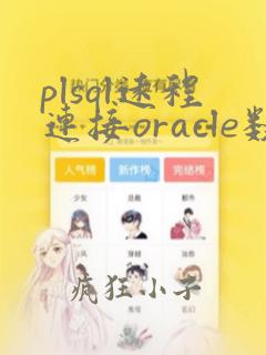 plsql远程连接oracle数据库