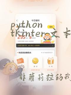 python tkinter 文本框