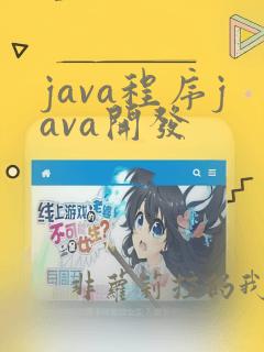 java程序java开发