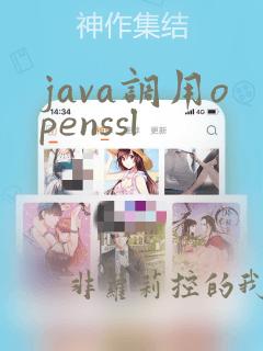java调用openssl