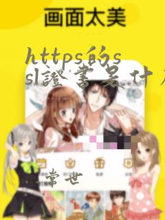 https的ssl证书是什么