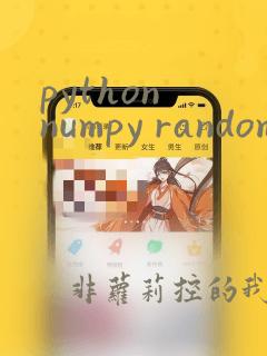 python numpy random