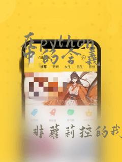 在python中的含义