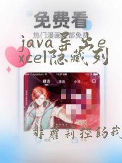 java导出excel隐藏列
