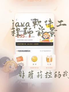 java软件工程师前景