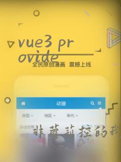vue3 provide