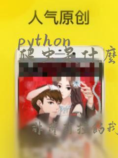python 爬虫是什么