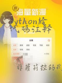 python给代码注释