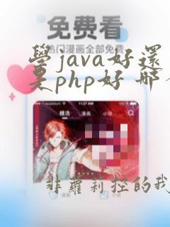 学java好还是php好 哪个有前途