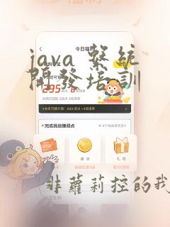 java 系统开发培训