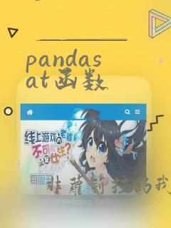 pandas at函数