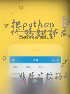 把python代码翻译成java代码
