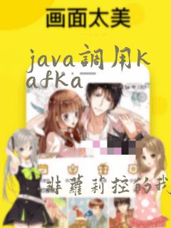 java调用kafka