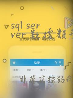 sql server 数据类型转换