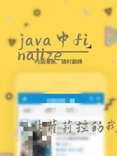 java中finalize