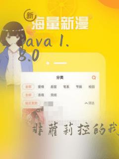 java 1.8.0