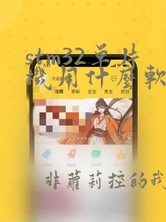 stm32单片机用什么软件编程