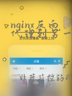 nginx反向代理到另一个nginx