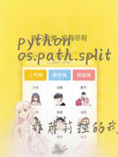 python os.path.split
